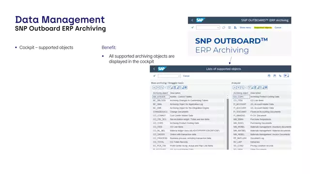 Outboard ERP Archiving | Cockpit - Supported Objects
