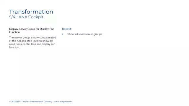S/4HANA Cockpit | Display Server Group for Display Run Function