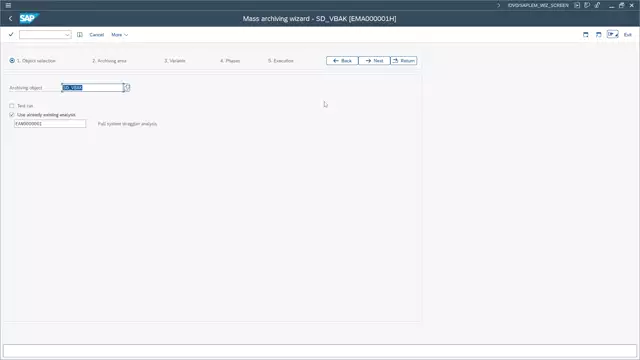 Outboard ERP Archiving | Mass Archiving – Use Existing Analysis