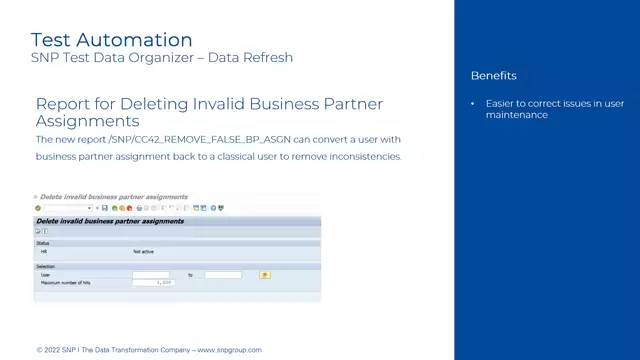 Test Data Organizer | Data Refresh – Report for Deleting Invalid Business Partner Assignments