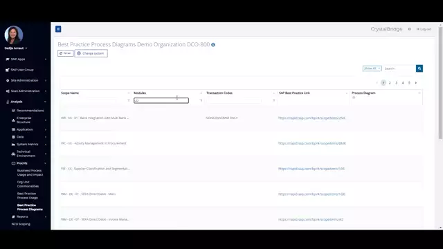 CrystalBridge Analysis | ProcViz – Best Practice Process Diagrams