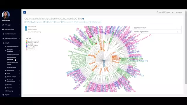 CrystalBridge Analysis | Enterprise Structure – Organizational Structure
