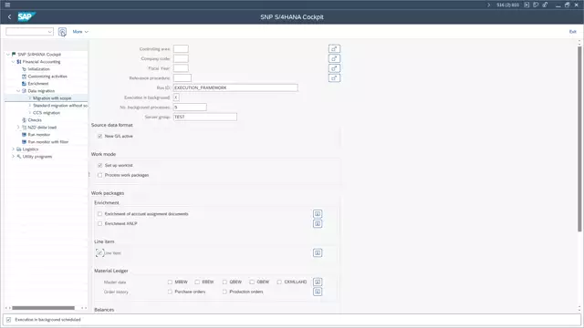S/4HANA Cockpit | Execution Framework Shown in Run Monitor with Filter