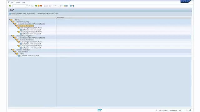 Analysis Extended | IMG Tree as Access Point for the Customizing Analysis