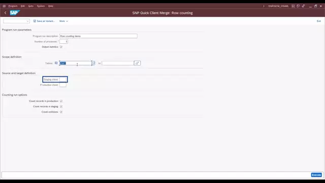 Quick Client Merge | 06. Counting Records to Estimate Runtimes
