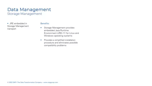 Glue | JRE Embedded in Storage Management Transport