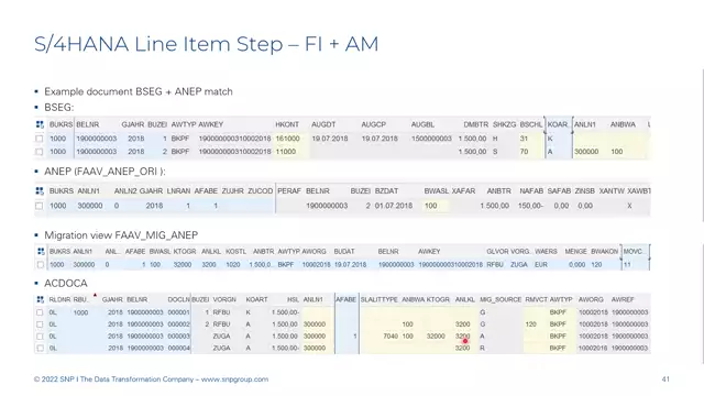 S/4HANA | Finance 12 | Line Item Step: FI + AM | DE