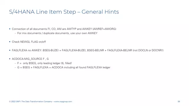 S/4HANA | Finance 10 | Set up Line Items: ACDOCA Tips | EN
