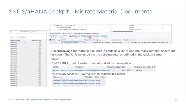 S/4HANA | Logistics 03 | Migrate Material Documents Step | EN