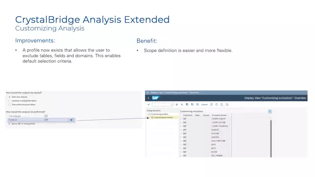 CrystalBridge Analysis Extended | Customizing Analysis: New Profile to Exclude Tables, Fields and Domains