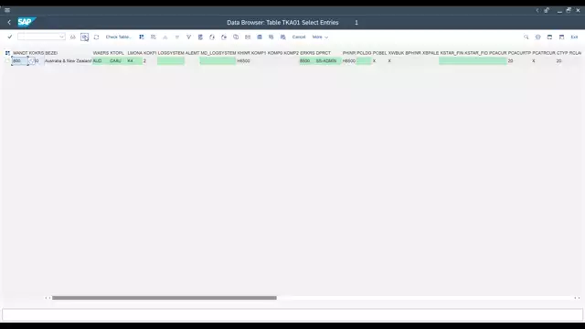 Delivery | CO | Object COPA