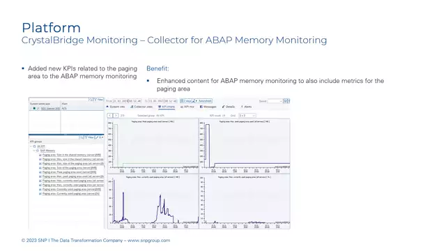 CrystalBridge Monitoring | Collector for ABAP Memory Monitoring – New KPIs Related to the Paging Area Added into the ABAP Memory Monitoring