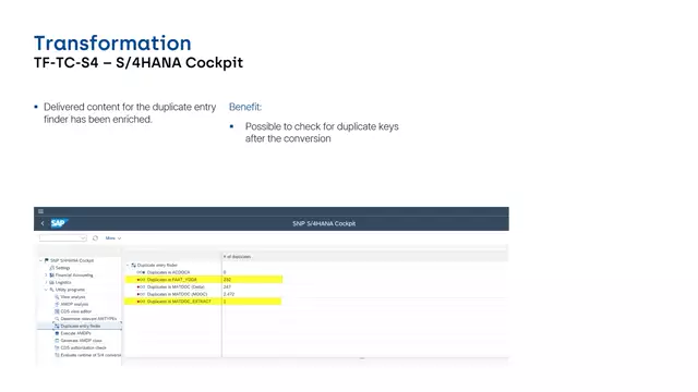 S/4HANA Cockpit | Enriched Delivered Content for Duplicate Entry Finder