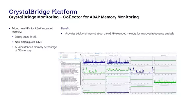 CrystalBridge Monitoring | New KPIs for ABAP Extended Memory