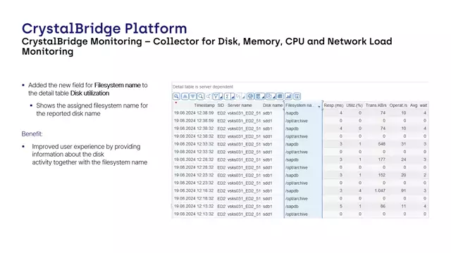 CrystalBridge Monitoring | New Field for Filesystem Name in Detail Table Disk Utilization