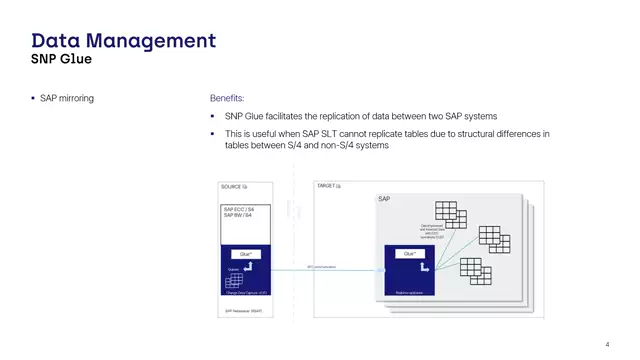 Glue | SAP Mirroring