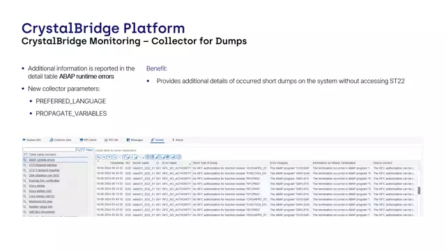 CrystalBridge Monitoring | Reporting Additional Information to the Detail Table ABAP runtime errors