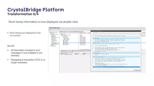 S/4HANA Cockpit | Displaying Short Dumps in the Run Monitor