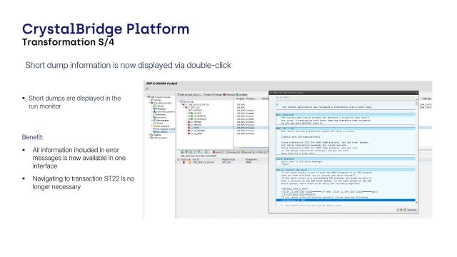 S/4HANA Cockpit | Displaying Short Dumps in the Run Monitor