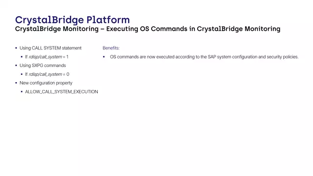 CrystalBridge Monitoring | Executing OS Commands in CrystalBridge Monitoring