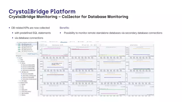 CrystalBridge Monitoring | Collector for Database Monitoring