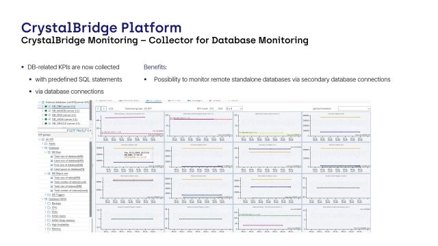 CrystalBridge Monitoring | Collector for Database Monitoring
