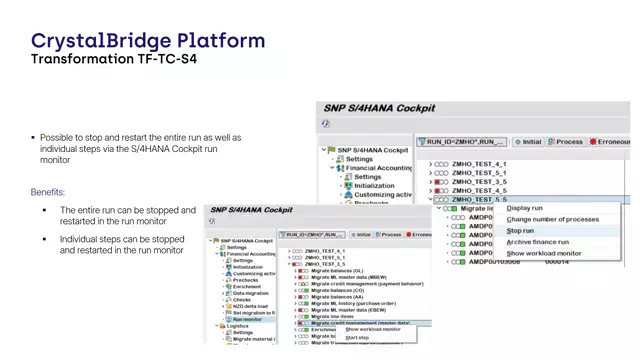 S/4HANA Cockpit | Runs Stoppable and Restartable via the S/4HANA Cockpit Run Monitor