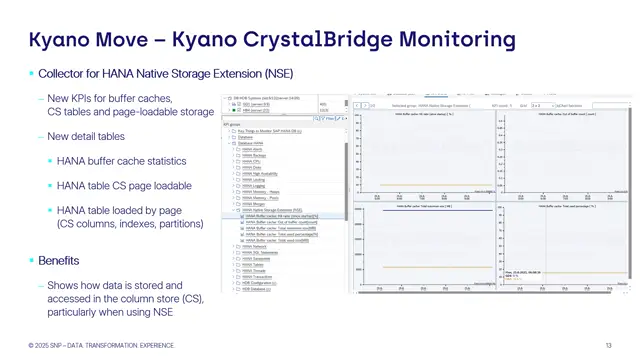 CrystalBridge Monitoring | Collector for HANA Native Storage Extension (NSE)